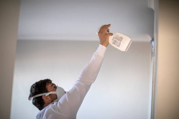Attic Mold Removal in Geneva, IL